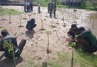 Penanaman mangrove di pesisir pantai Watu Mejo