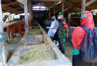 Vaksinasi PMK hewan ternak warga binaan di desa Sambirejo 