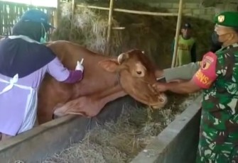 Vaksinasi PMK hewan ternak warga binaan