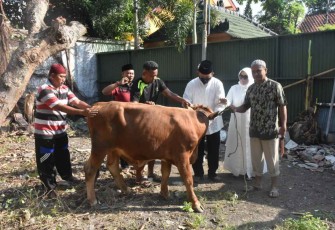 Dandim Madiun serahkan hewan qurban 
