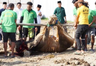 Warga binaan antusias saat penyembelihan hewan kurban di Lapas Cilegon 