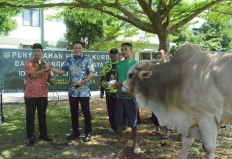 Danrem 052/Wkr saat menyerahkan hewan qurban 