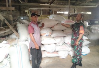 Pengecekan stok beras dan gabah di kilang padi