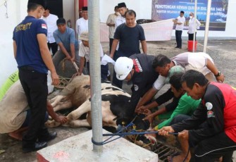Penyembelihan hewan qurban di kantor kanwil kemenkumham Banten