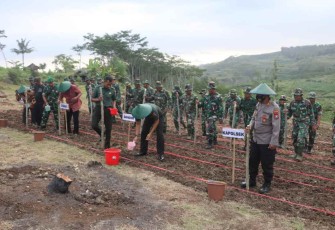 Dandim saat tanam jagung di lahan TNI AD Tulungagung 