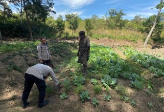 Pengecekan lahan pertanian sayur mayur di kampung Parema