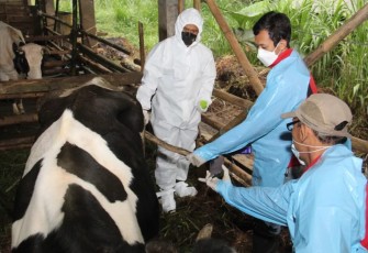 Danrem 081/DSJ saat tinjau hewan ternak di Trenggalek 