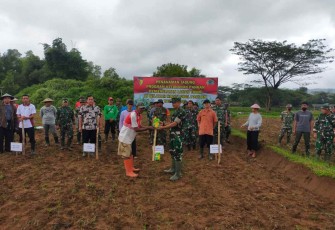 Dandim Pacitan saat tanam jagung