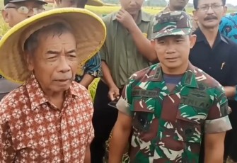 Danrem 081/DSJ bersama petani saat panen raya padi Japonica di Trenggalek 
