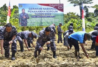 Laksma TNI Yeheskiel Katiandagho saat tanam sorgum