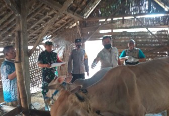 Vaksinasi PMK hewan ternak warga binaan