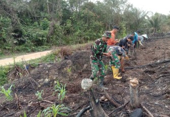 Tanam padi bersama warga perbatasan 
