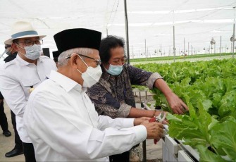 Wapres RI KH Ma'ruf Amin saat mengunjungi Batamindo Green Farm di Karawang