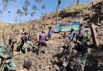 Buka lahan berkebun masyarakat di perbatasan 