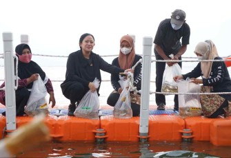 Puan Maharani saat tebar ikan di waduk Jatiluhur Purwakarta, Rabu (21/9)