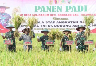 Kasad Jenderal TNI Dudung Abdurachman panen raya padi di Kabupaten Tulungagung Jum'at (7/10)