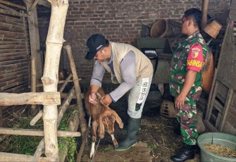 Vaksinasi PMK ternak warga binaan