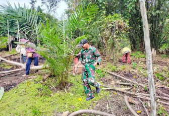 Tradisi Nugal Suku Dayak di perbatasan 