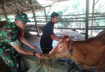 Pengecekan kesehatan hewan ternak warga binaan