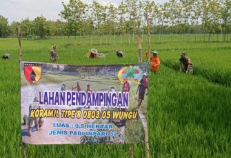 Perawatan tanaman padi warga binaan