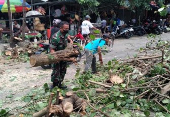 Singkirkan pohon tumbang halangi pengguna jalan