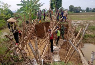 Perbaikan tanggul jebol di Desa Tambah Agung Kec. Tambakromo Pati