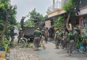 Satpol PP Sidoarjo potong ranting dan bersihkan puing di perumahan warga