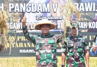 Danrem 081/DSJ Kolonel Inf Deni Rejeki saat panen raya padi di Ngawi