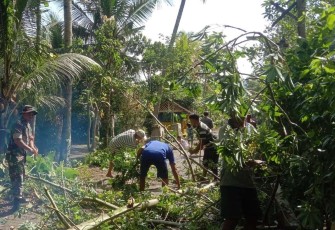 Bersihkan ranting pohon di tepi jalan