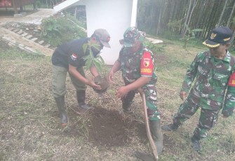 Penghijauan tanam pohon di hutan lindung