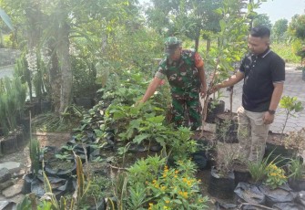 Program Gema Parut manfaatkan pekarangan rumah tanam sayur mayur 