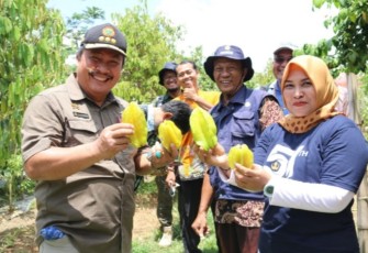 Dirjen Hortikultura Kementan RI Prihasto Setyanto didampingi wakil bupati Blora Tri Yuli Setyowati meninjau kampung buah Dukuh Klapanan Desa Tunjungan, Blora.