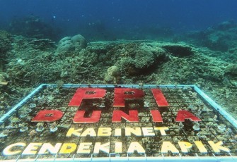 PPI Dunia