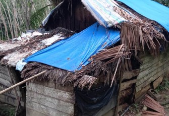 Kediaman Sumiati, Warga Dusun Emplasmen P Baru, Desa Perk Julok Rayeuk Utara, Kecamatan Indra Makmur, Kabupaten Aceh Timur
