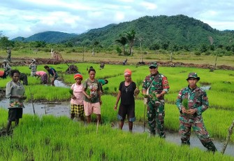 Foto : Satgas Pamtas Yonif 126/KC