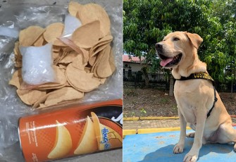Luigi, Anjing Pelacak Bea Cukai Batam dan barang bukti sabu-sabu