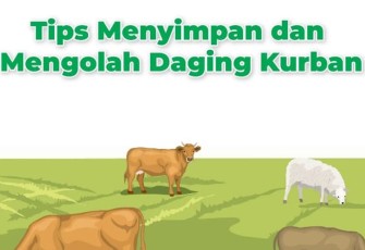 Tips Mengolah dan Menyimpan Daging Qurban!