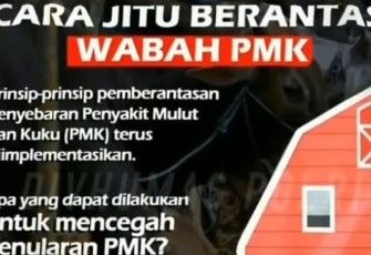 Cara Jitu Berantas Wabah PMK