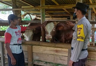 Bhabinkamtibmas Polsek Kepahiang saat Edukasi Warga Pemilik Ternak