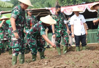 Danrem 052/Wkr Dampingi Pangdam Jaya saat Tinjau Perkembangan Program Food Estate di Tangerang