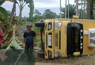 Truk Muat Udang Kelong pasca Terbalik 