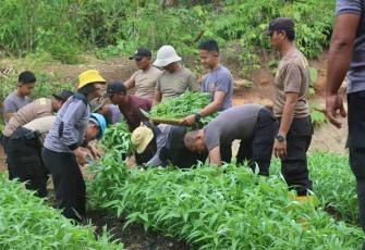 Polres Benteng saat Tanam Sayuran Organik