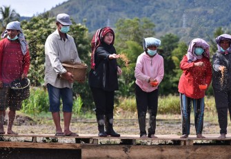 Puan Canangkan Program Dua Kali Tanam-Panen di Toba