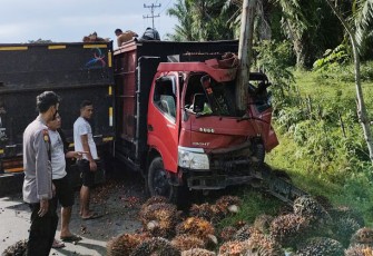 Truk Muatan Sawit Ringsek usai Tabrak Tiang Listrik