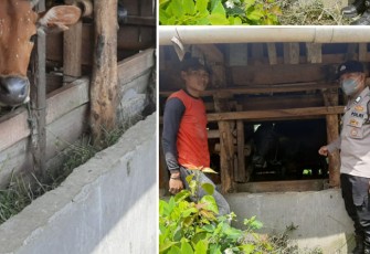 Polisi saat monitoring ternak warga
