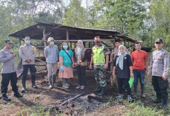 im Gabungan di Kabupaten Lebong saat Vaksin Hewan Ternak