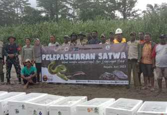 Danramil 1710-03/Kuala Kencana Hadir Sekaligus Pengamanan Kegiatan Pelepasliaran Satwa