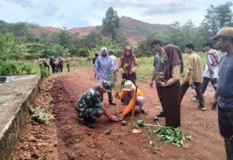 Kodim 1430/Konut Gelar Karya Bakti Penanaman Pohon  di Kecamatan Motui dan Kecamatan Wawolesea, Jumat (08/12/2023)