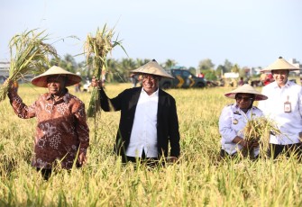 Wamendagri John Wempi Wetipo mengapresiasi pelaksanaan panen raya padi oleh kelompok tani Hidup Petani Nyata (HIPETA) di Desa Satuan Pemukiman 1 (SP1) Distrik Nabire Barat, Kabupaten Nabire, Provinsi Papua Tengah, Rabu (8/11/2023). 