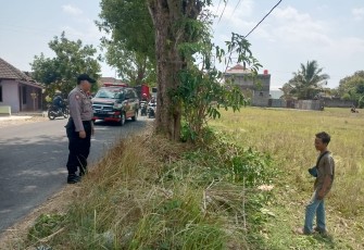Lokasi kejadian terjatuhnya Suprijanto (37) dari atas pohon setelah tersengat aliran listrik saat mencari daun untuk pakan ternak, Rabu (13/9/2023) pagi.